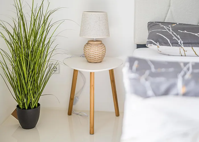 Apartamento P2 Premium-suite, 4 Zimmer, 105qm, Parkplatz Halle (Saale)